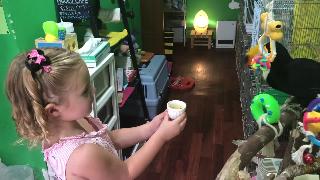 Кафе попугай в токио