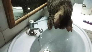 Паста очень любит воду