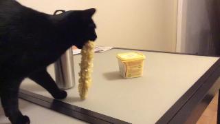 Эмо крадет кукурузу в початках